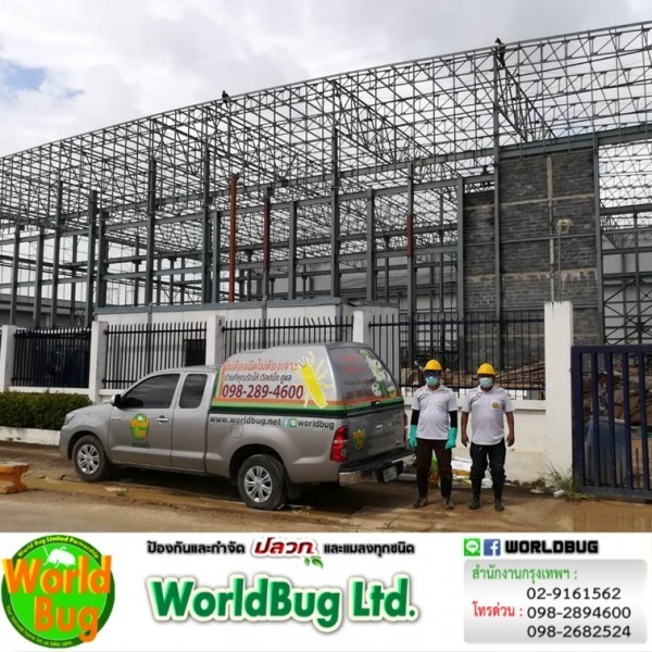 ฉีดปลวกปทุมธานี เวิลด์บั๊ก