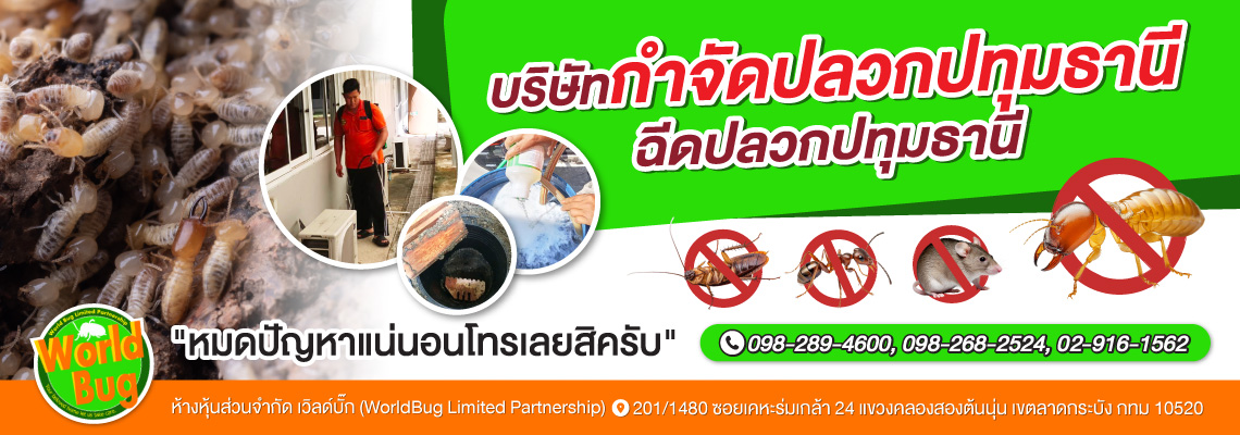 กำจัดปลวกปทุมธานี